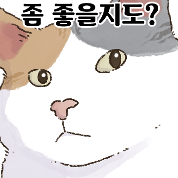 얼빡샷 고양이 5