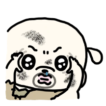 왕초 복슬이를 돌봐주실래요? 2