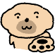 누룽zi