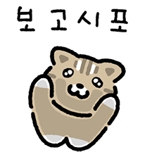 순둥순둥 삵이에요!