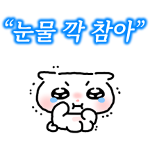 눈물 깍 참는 고양