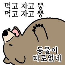 본능적인 이곰씨