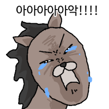 오늘도 출근하는 말~~달린다~