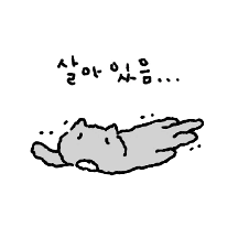 병약고양이 12