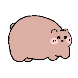 동면곰