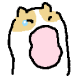 롱롱이 기니피그