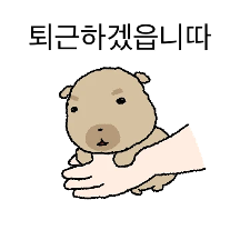 도룽이.. 퇴근하겠읍니따..