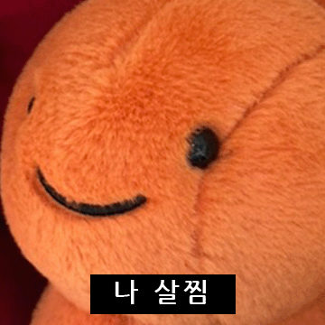 우주먼지 짤 모음.zip 4