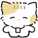 꼬질냥 꼬양이