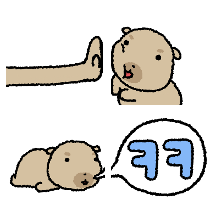 짱조구만 일상! 미니 도룽이