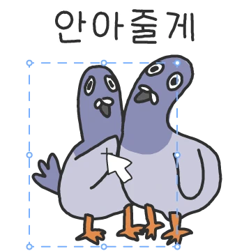 비둘기야 톡하자 999999999