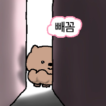 웜뱃 엉덩이는 왜 씰룩일까? 트월뱃