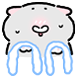 회색고앵쓰
