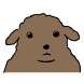 Poo들