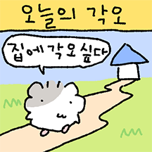 솜뭉치 햄스터 솜찌 19