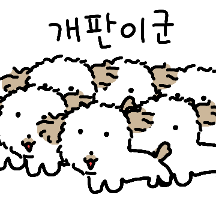 조금 허술한 강아지! 멍뭉쓰