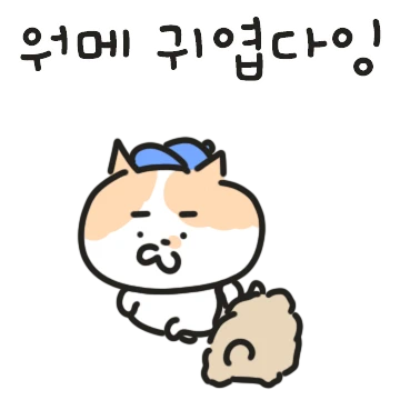 오메 나여 전라도 고양이