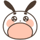 강아지 우와앙