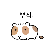 픽셀기니