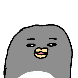 아마도 펭귄