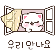 프로약속러 코코