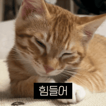 노동묘 칠봉지
