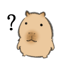 카피바라라는 감정..