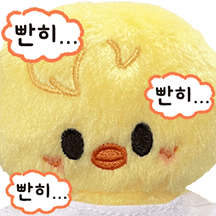 칙칙붐 SKZOO