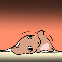 그냥 치와와