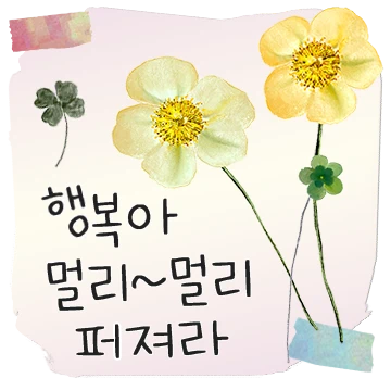 드라이 플라워 빈티지 엽서