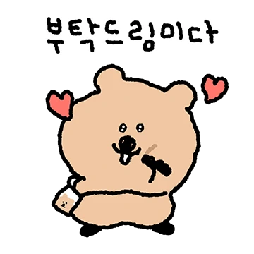 꼬카의 사회생활