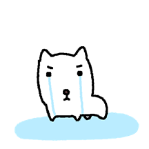 대충사는 찐돗개