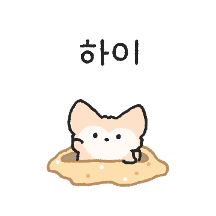 순둥순둥 꼬꼬마 사막여우 민아