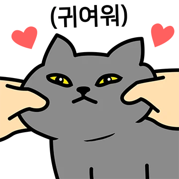 그레이 고양이야 4