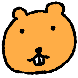 앞니 비버