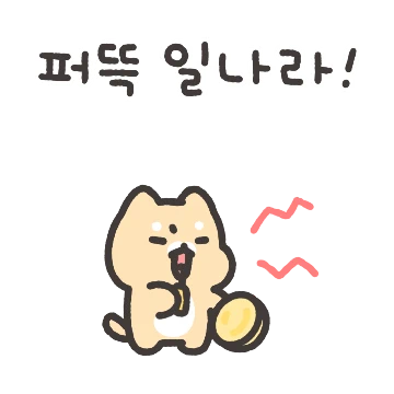 경상도 깔롱쟁이 시바