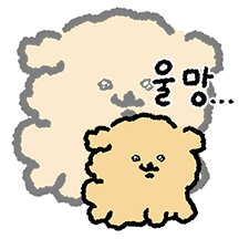 푸들이는 똑땅해