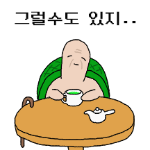 100세 거북이 ‘장수’