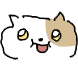 꼬냥쓰