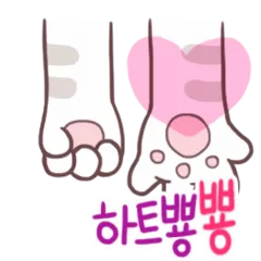 심쿵주의!!아기냥이손은 귀요미~