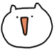 리액션 부자냥이