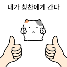 능동적인 삶을 살아가는 삼색냥이