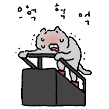병약고양이 11 (헬스편)