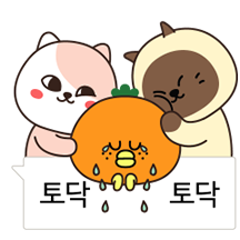 바로쓰는 말풍선 톡톡!