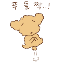 푸들짝..!