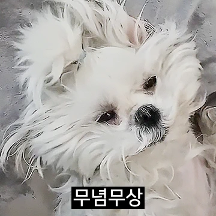 꽃분이의 꼬수운 낭만티콘