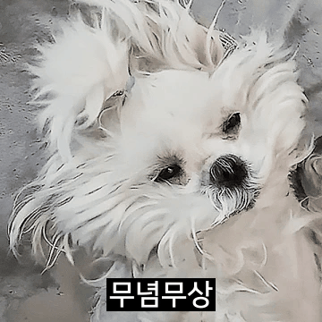 꽃분이의 꼬수운 낭만티콘