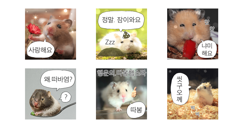 햄찌짤방.jpg