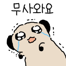 겁쟁이 미어캣
