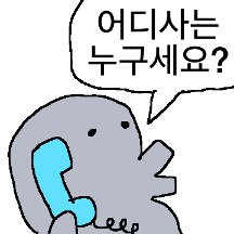 무미건조 돌고래